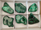 Polished Flower Banded Malachite Free Forms x 6 From Congo - Toprock Gemstones and Minerals 