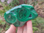 Polished Flower Banded Malachite Free Forms x 6 From Congo - Toprock Gemstones and Minerals 
