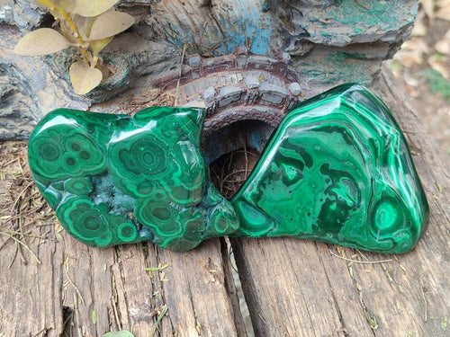 Polished Flower Banded Malachite Free Forms x 6 From Congo - Toprock Gemstones and Minerals 