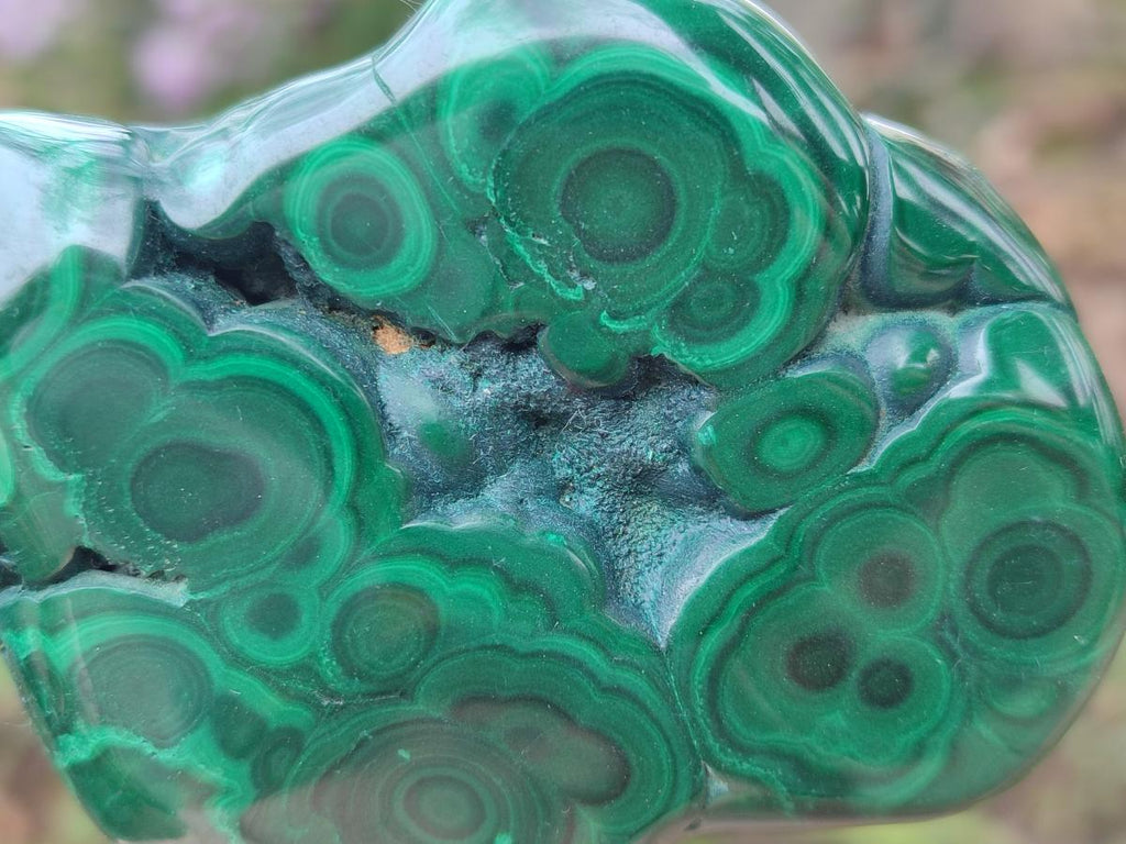 Polished Flower Banded Malachite Free Forms x 6 From Congo - Toprock Gemstones and Minerals 