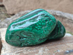 Polished Flower Banded Malachite Free Forms x 6 From Congo - Toprock Gemstones and Minerals 
