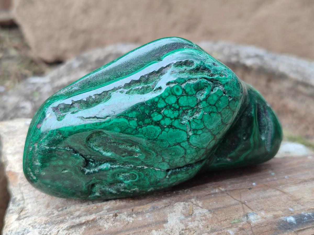 Polished Flower Banded Malachite Free Forms x 6 From Congo - Toprock Gemstones and Minerals 