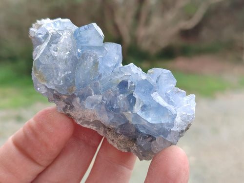 Natural Blue Celestite Specimens x 12 From Sakoany, Madagascar - Toprock Gemstones and Minerals 