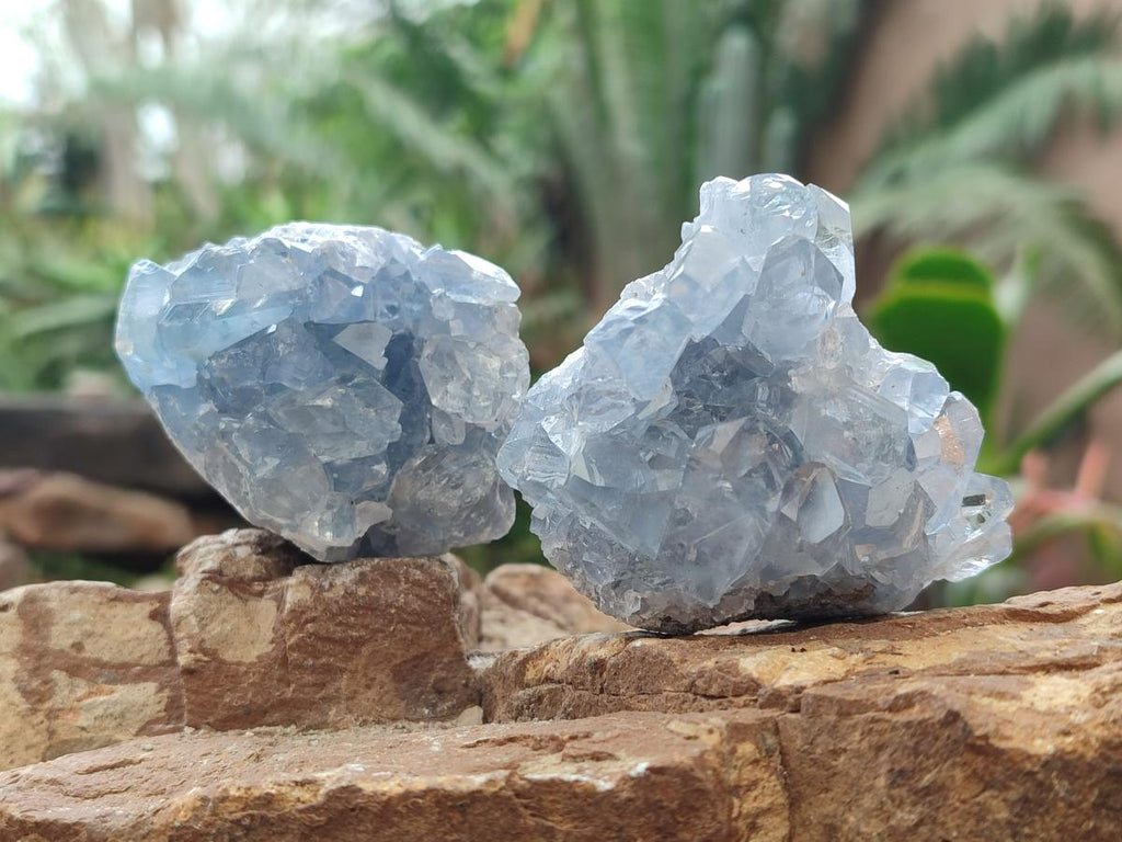 Natural Blue Celestite Specimens x 12 From Sakoany, Madagascar - Toprock Gemstones and Minerals 