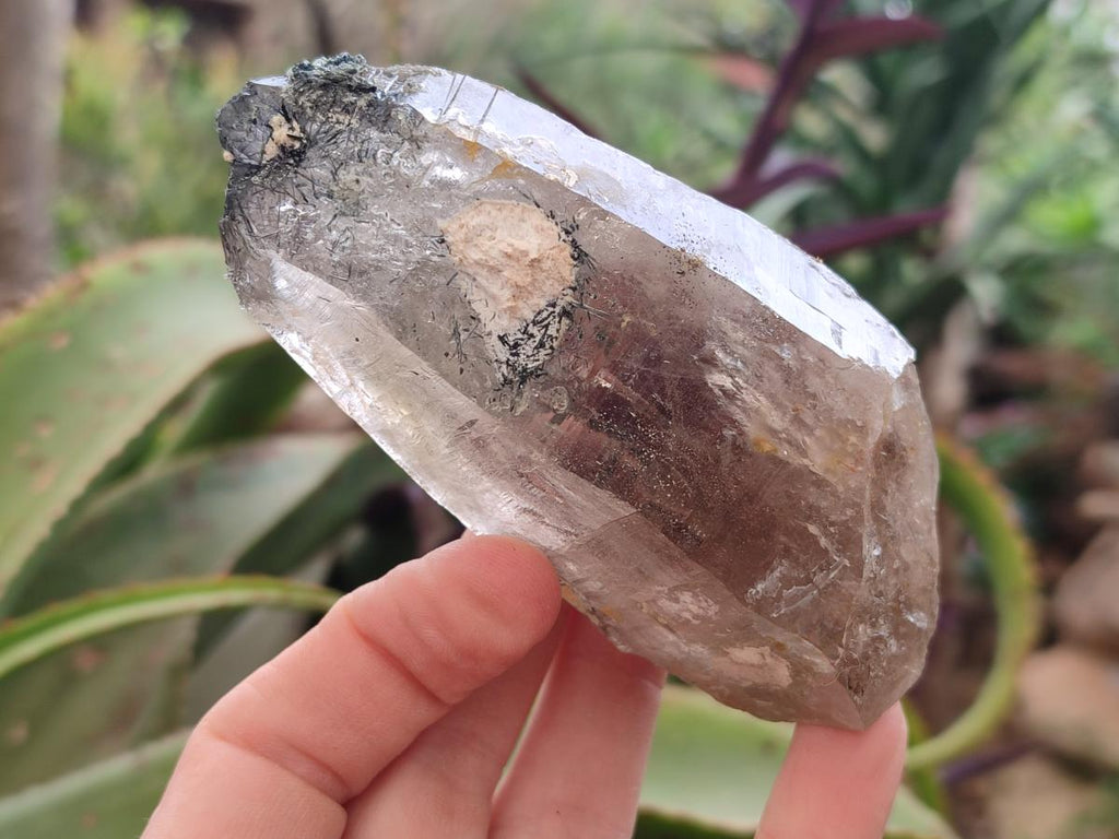 Natural Smokey Quartz Crystals with Associated Minerals x 12 From Erongo, Namibia - Toprock Gemstones and Minerals 