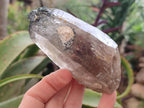 Natural Smokey Quartz Crystals with Associated Minerals x 12 From Erongo, Namibia - Toprock Gemstones and Minerals 