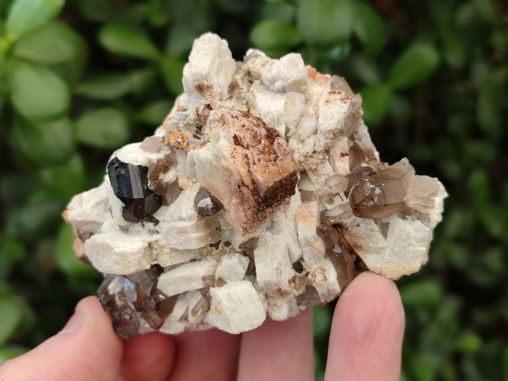 Natural Smokey Quartz Crystals with Associated Minerals x 12 From Erongo, Namibia - Toprock Gemstones and Minerals 