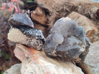 Natural Smokey Quartz Crystals with Associated Minerals x 12 From Erongo, Namibia - Toprock Gemstones and Minerals 