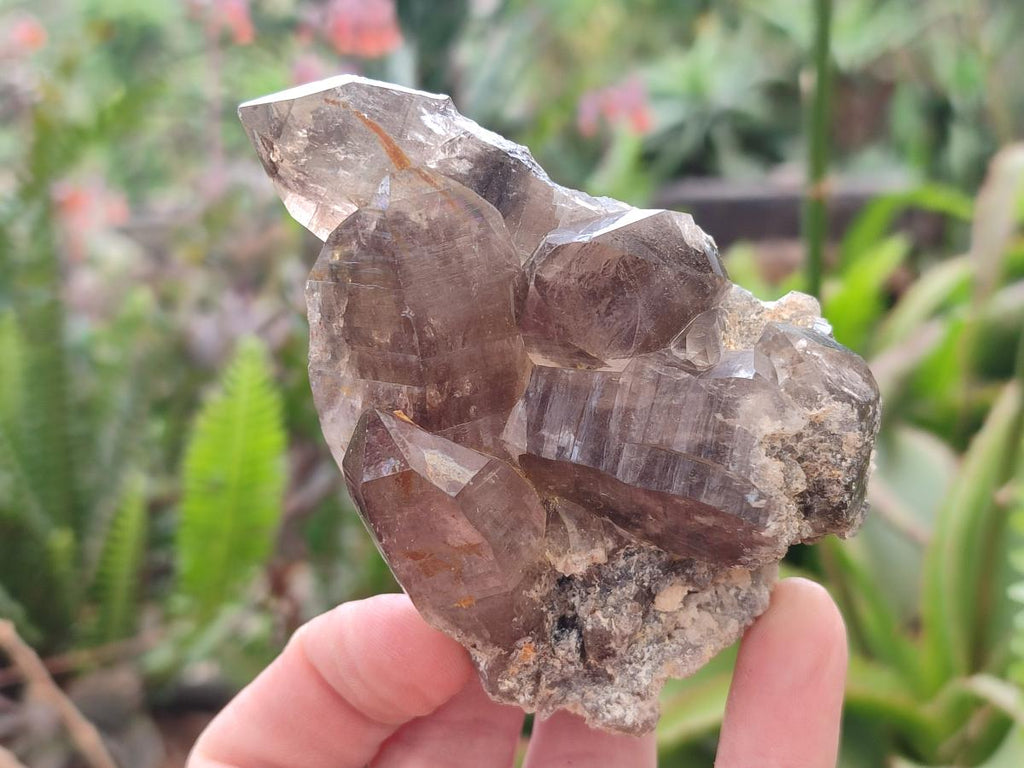 Natural Smokey Quartz Crystals with Associated Minerals x 12 From Erongo, Namibia - Toprock Gemstones and Minerals 