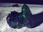 Natural Smokey Quartz Crystals with Associated Minerals x 12 From Erongo, Namibia - Toprock Gemstones and Minerals 