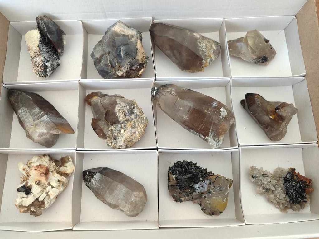 Natural Smokey Quartz Crystals with Associated Minerals x 12 From Erongo, Namibia - Toprock Gemstones and Minerals 