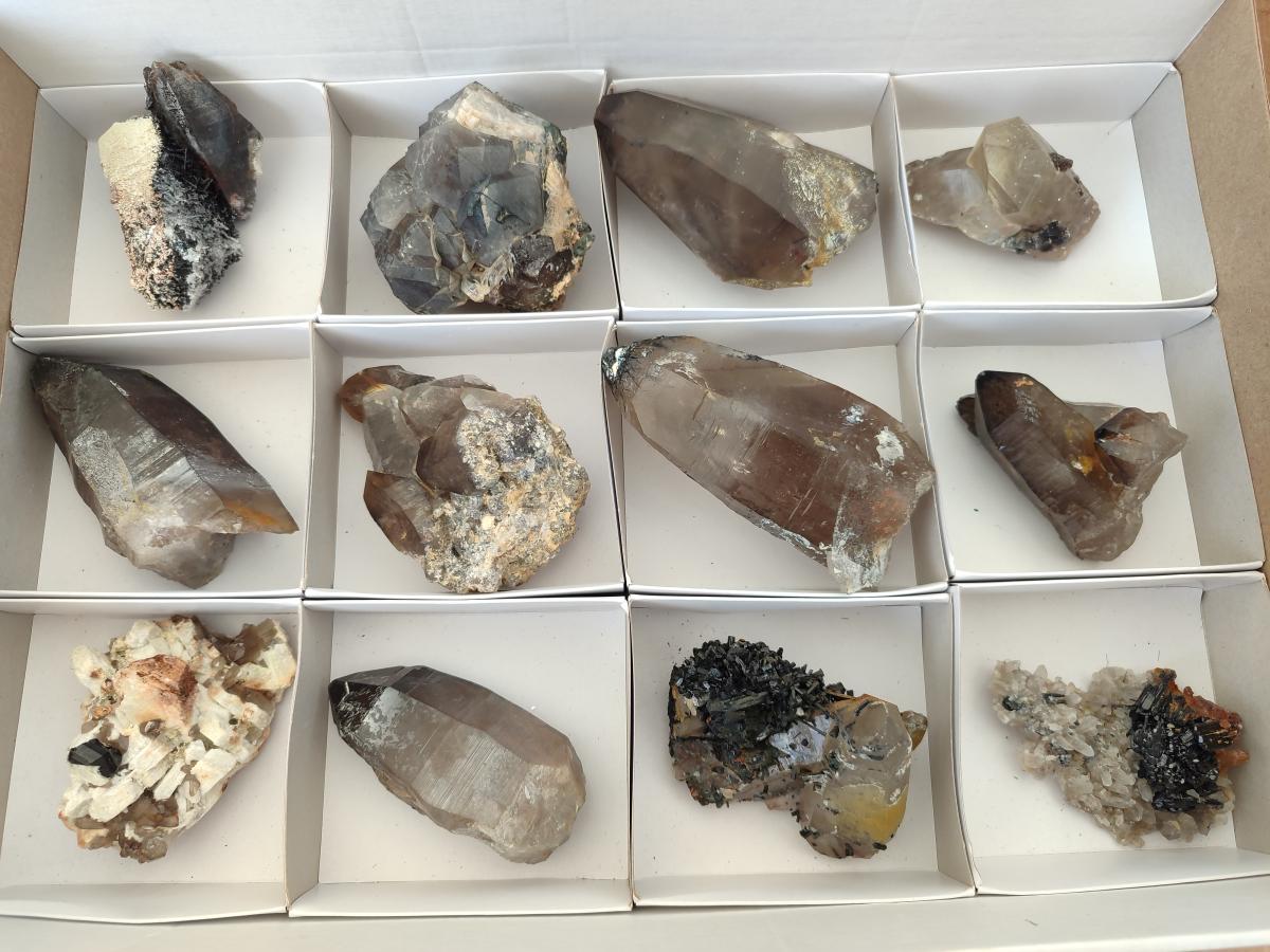 Natural Smokey Quartz Crystals with Associated Minerals x 12 From Erongo, Namibia - Toprock Gemstones and Minerals 