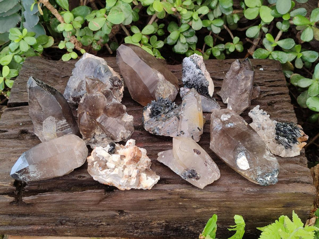 Natural Smokey Quartz Crystals with Associated Minerals x 12 From Erongo, Namibia - Toprock Gemstones and Minerals 