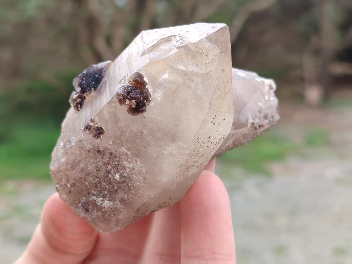 Natural Smokey Quartz Crystals with Associated Minerals x 12 From Erongo, Namibia - Toprock Gemstones and Minerals 
