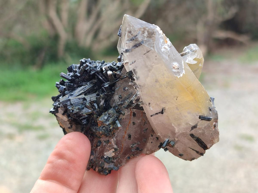 Natural Smokey Quartz Crystals with Associated Minerals x 12 From Erongo, Namibia - Toprock Gemstones and Minerals 