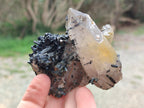 Natural Smokey Quartz Crystals with Associated Minerals x 12 From Erongo, Namibia - Toprock Gemstones and Minerals 