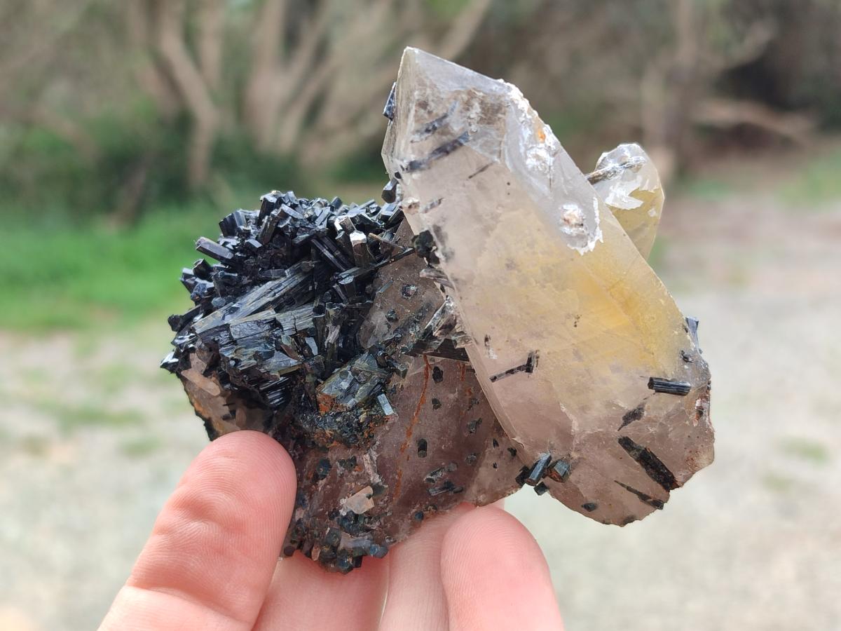 Natural Smokey Quartz Crystals with Associated Minerals x 12 From Erongo, Namibia - Toprock Gemstones and Minerals 