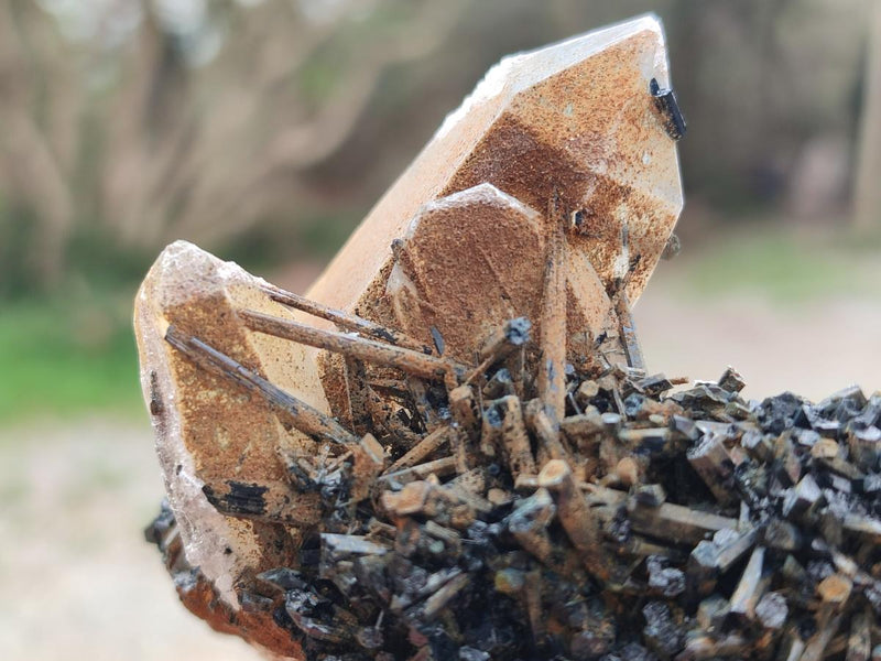 Natural Smokey Quartz Crystals with Associated Minerals x 12 From Erongo, Namibia - Toprock Gemstones and Minerals 