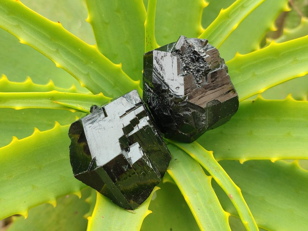 Natural Schorl Black Tourmaline Specimens x 35 From Erongo, Namibia - Toprock Gemstones and Minerals 