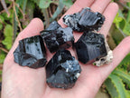Natural Schorl Black Tourmaline Specimens x 35 From Erongo, Namibia - Toprock Gemstones and Minerals 