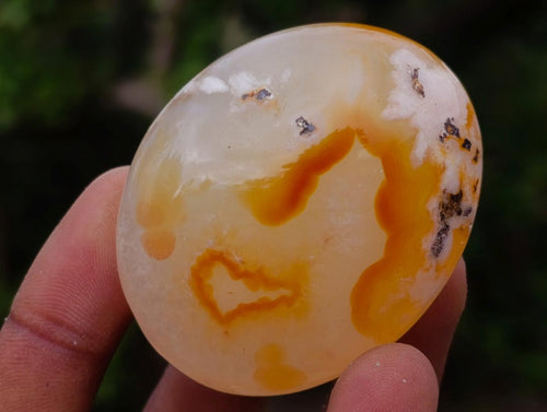 Polished Flower Agate Palm Stones x 25 From Antsahalova, Madagascar - Toprock Gemstones and Minerals 