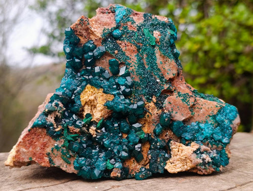Natural Large Cabinet Size Dioptase on Dolomite Specimen x 1 From Mashamba East Mine, Congo - Toprock Gemstones and Minerals 