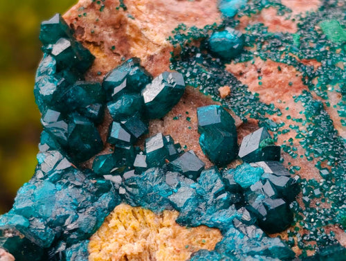 Natural Large Cabinet Size Dioptase on Dolomite Specimen x 1 From Mashamba East Mine, Congo - Toprock Gemstones and Minerals 