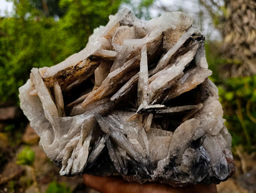 Natural Large Rare Bladed Barite Specimen x 1 From Tenke Fungurume, Congo - Toprock Gemstones and Minerals 