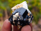 Natural Schorl Black Tourmaline Crystal Specimens x 70 From Erongo, Namibia - Toprock Gemstones and Minerals 