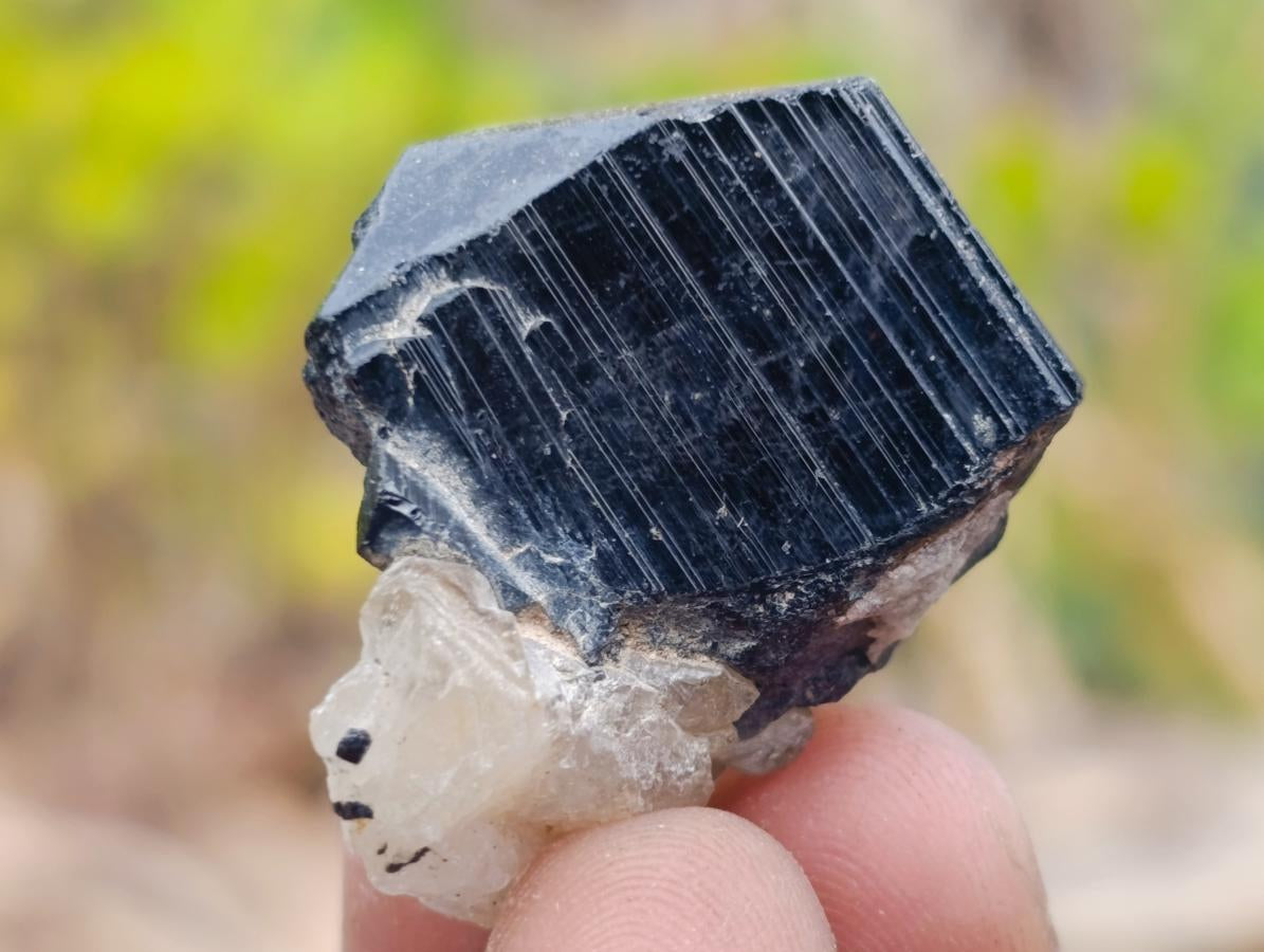 Natural Schorl Black Tourmaline Crystal Specimens x 70 From Erongo, Namibia - Toprock Gemstones and Minerals 