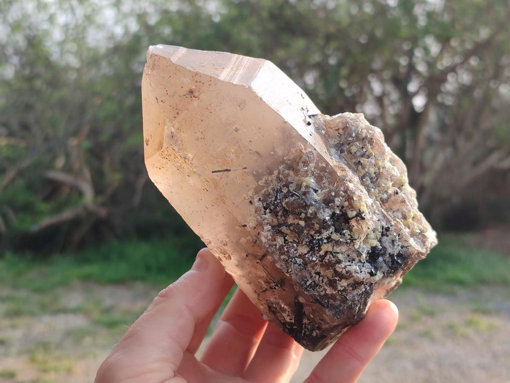 Natural Smokey Quartz Crystals with Associated Minerals x 2 From Erongo, Namibia - Toprock Gemstones and Minerals 