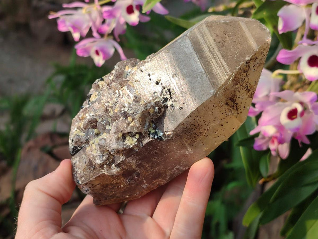 Natural Smokey Quartz Crystals with Associated Minerals x 2 From Erongo, Namibia - Toprock Gemstones and Minerals 