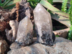 Natural Smokey Quartz Crystals with Associated Minerals x 2 From Erongo, Namibia - Toprock Gemstones and Minerals 