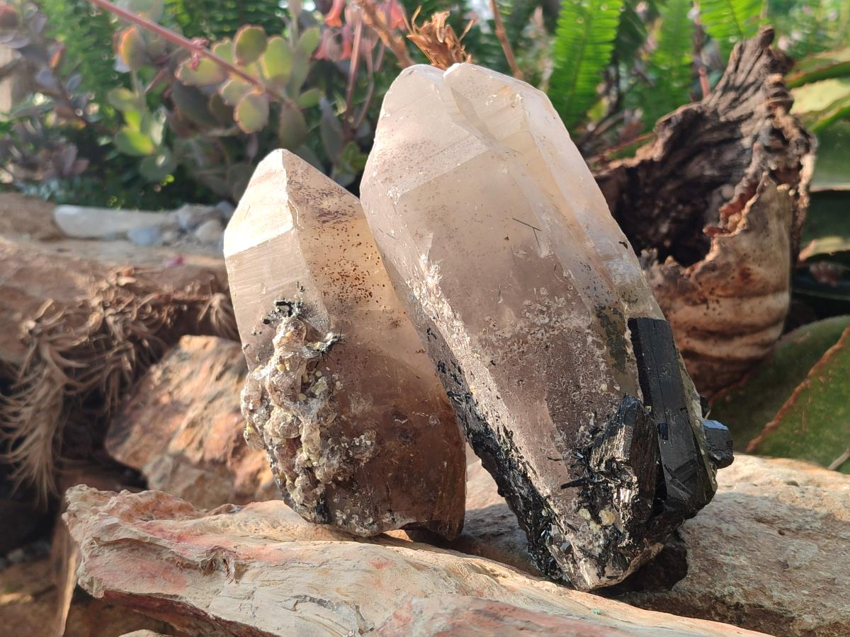 Natural Smokey Quartz Crystals with Associated Minerals x 2 From Erongo, Namibia - Toprock Gemstones and Minerals 