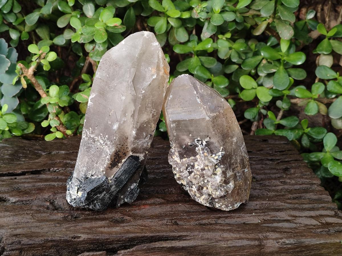 Natural Smokey Quartz Crystals with Associated Minerals x 2 From Erongo, Namibia - Toprock Gemstones and Minerals 