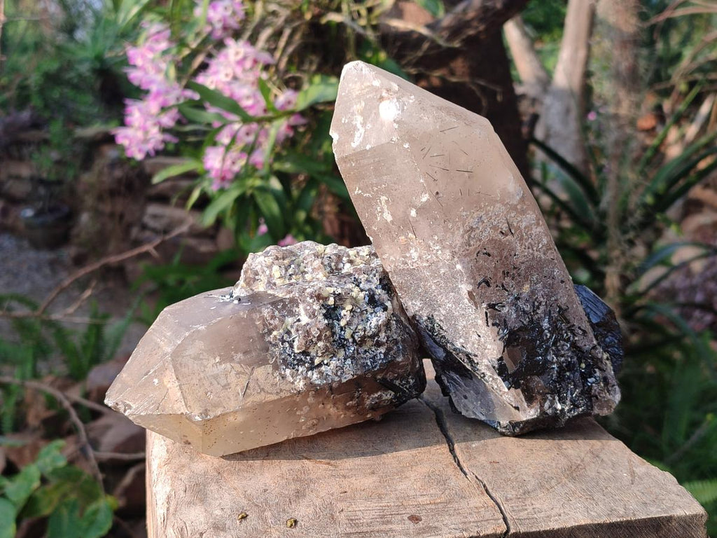 Natural Smokey Quartz Crystals with Associated Minerals x 2 From Erongo, Namibia - Toprock Gemstones and Minerals 