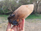 Natural Smokey Quartz Crystals with Associated Minerals x 2 From Erongo, Namibia - Toprock Gemstones and Minerals 