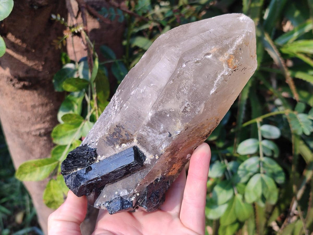 Natural Smokey Quartz Crystals with Associated Minerals x 2 From Erongo, Namibia - Toprock Gemstones and Minerals 