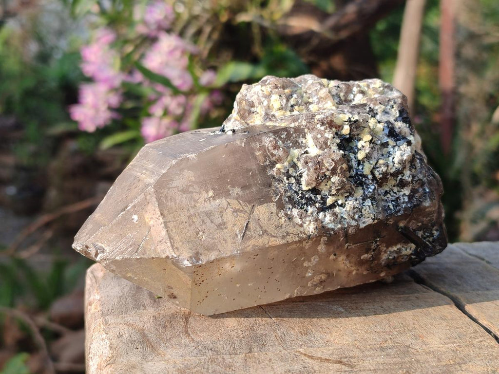 Natural Smokey Quartz Crystals with Associated Minerals x 2 From Erongo, Namibia - Toprock Gemstones and Minerals 