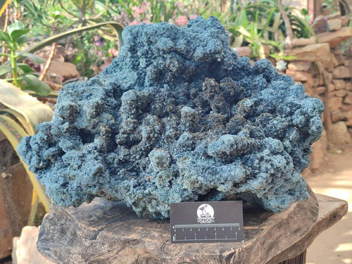 Natural XXL Acicular Fibrous Stalagmite Foitite Specimen x 1 From Erongo, Namibia - Toprock Gemstones and Minerals 