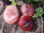 Polished Carnelian Agate Gemstone Galets x 20 From Madagascar - Toprock Gemstones and Minerals 