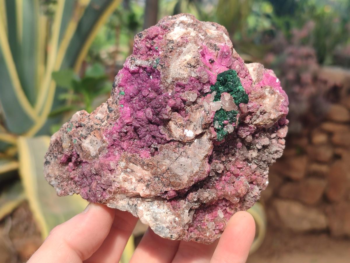 Natural Salrose Cobaltoan Dolomite Specimens with Associated Minerals x 2 From Kakanda, Congo - Toprock Gemstones and Minerals 
