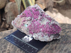 Natural Salrose Cobaltoan Dolomite Specimens with Associated Minerals x 2 From Kakanda, Congo - Toprock Gemstones and Minerals 