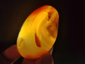 Polished Flower Agate Palm Stones x 24 From Antsahalova, Madagascar - Toprock Gemstones and Minerals 