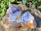 Natural Blue Lace Agate Specimens x 35 From Nsanje, Malawi - Toprock Gemstones and Minerals 