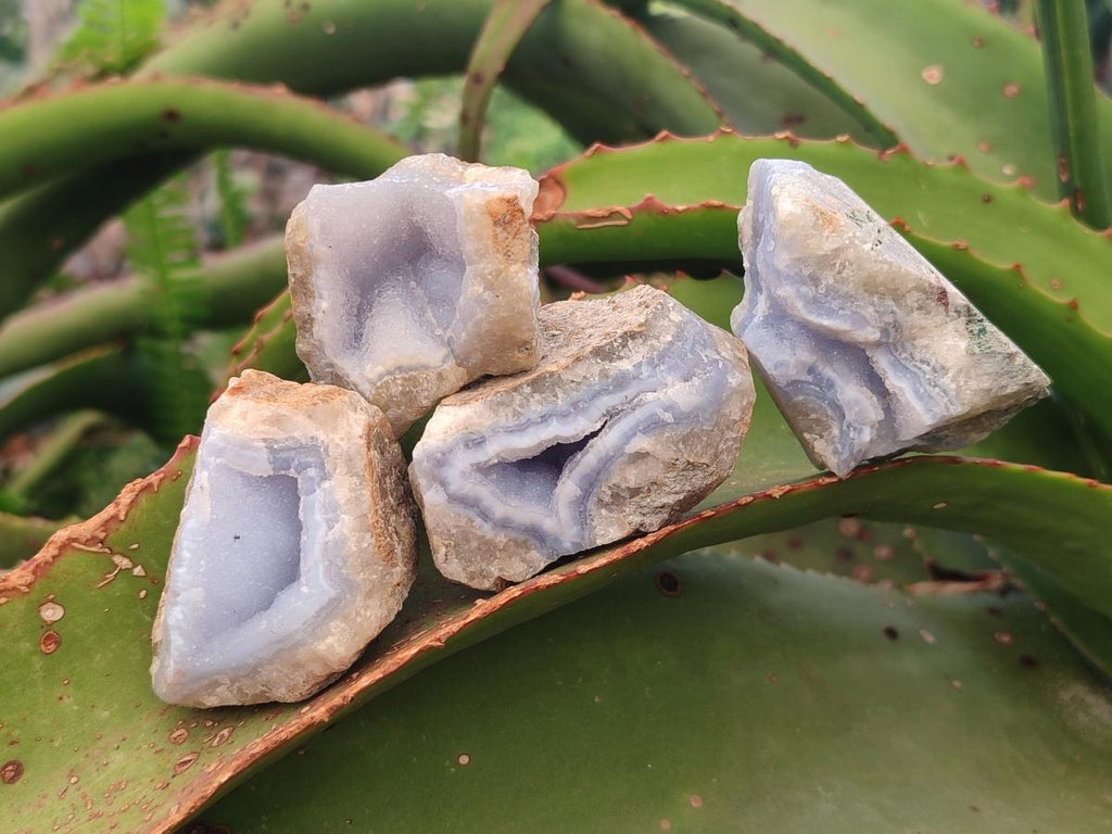 Natural Blue Lace Agate Specimens x 35 From Nsanje, Malawi - Toprock Gemstones and Minerals 