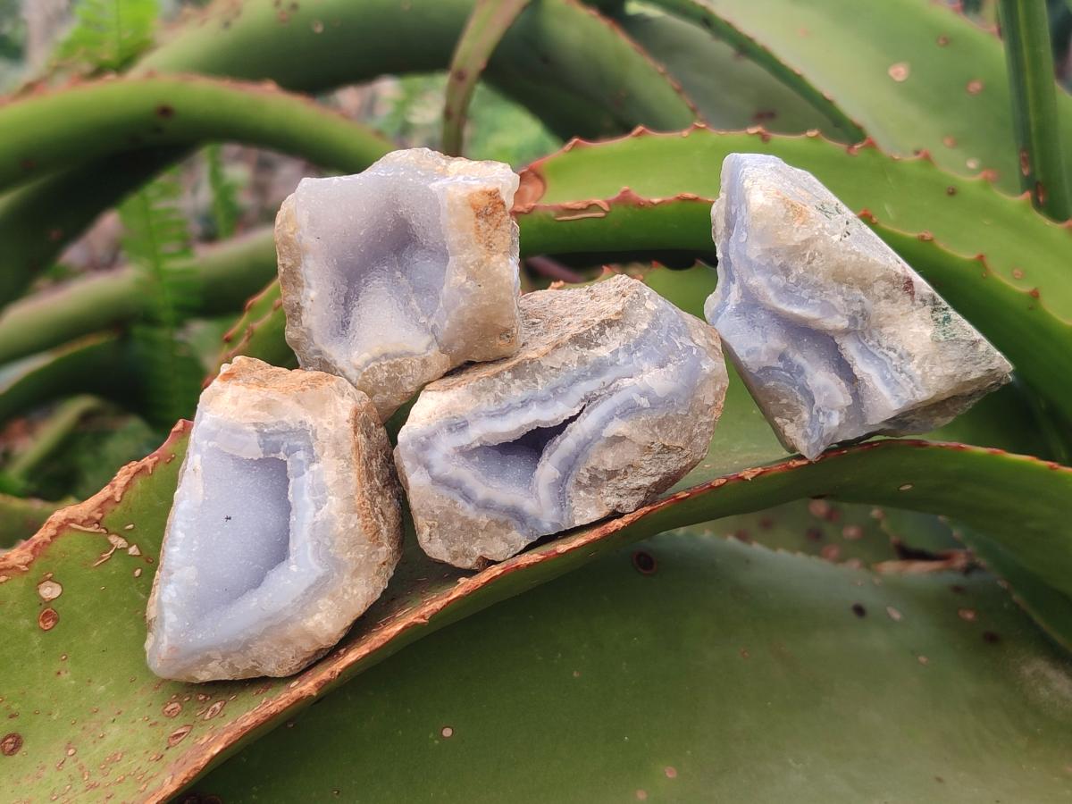 Natural Blue Lace Agate Specimens x 35 From Nsanje, Malawi - Toprock Gemstones and Minerals 