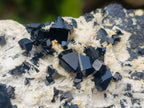 Natural Schorl Black Tourmaline Specimens with Feldspar x 2 From Erongo, Namibia - Toprock Gemstones and Minerals 