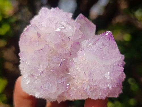 Natural Spirit Amethyst Clusters x 12 From Boekenhouthoek, South Africa - Toprock Gemstones and Minerals 