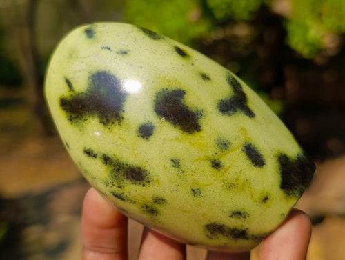 Polished Leopard Stone Standing Display Pieces x 6 From Zimbabwe - Toprock Gemstones and Minerals 